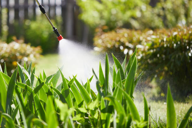 24/7 Emergency Mosquito Control experts in Kouts, IN